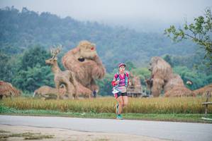 BIB: 
                            <button type="button" onclick="openModal(22303400)" class="btn btn-primary btn-sm float-right btn-popup" data-toggle="modal" data-target=".modal-high-quality">
                        <i class="fas fa-shopping-cart"></i> Add to Cart
                    </button>
                                            <button type="button" onclick="isThisMe(22303400, true)" class="btn btn-success btn-sm float-right btn-popup btn-isme hidden" data-toggle="tooltip" data-placement="bottom" title="นี่คือรูปของคุณใช่ไหม คลิกที่นี่เพื่อเอาเข้าอัลบั้ม">
                        <i class="fas fa-plus"></i> Add to album
                    </button>
                    <button type="button" onclick="isThisMe(22303400, false)" class="btn btn-warning btn-sm float-right btn-popup btn-isnotme hidden">
                        <i class="fas fa-ban"></i> Remove from album
                    </button>